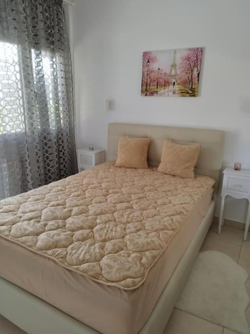 Renovated Apartment With Garden And Parking Space Peraía 외부 사진